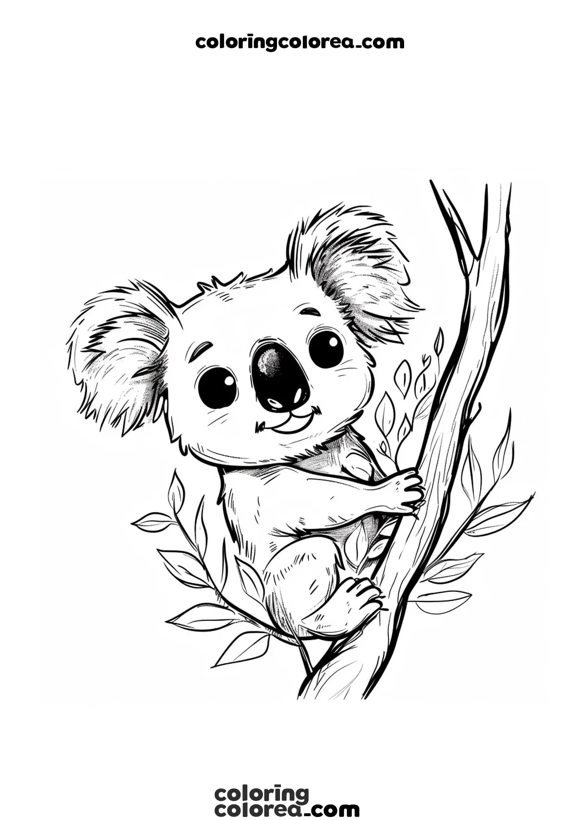 Dibujo para colorear gratis de un Koala
