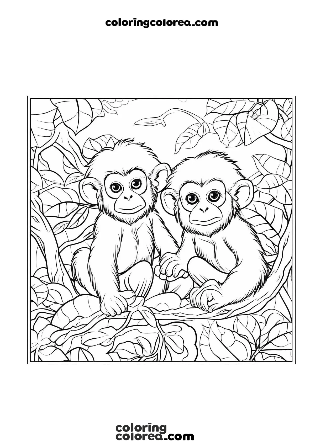 Titi monkeys in the jungle