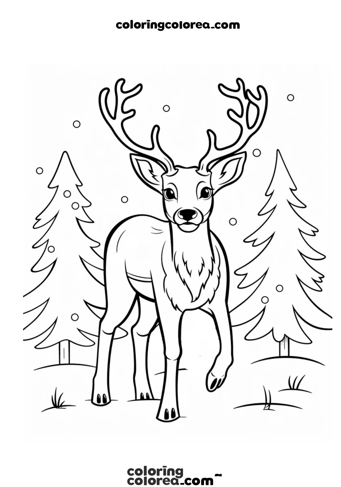 Santa’s Reindeer