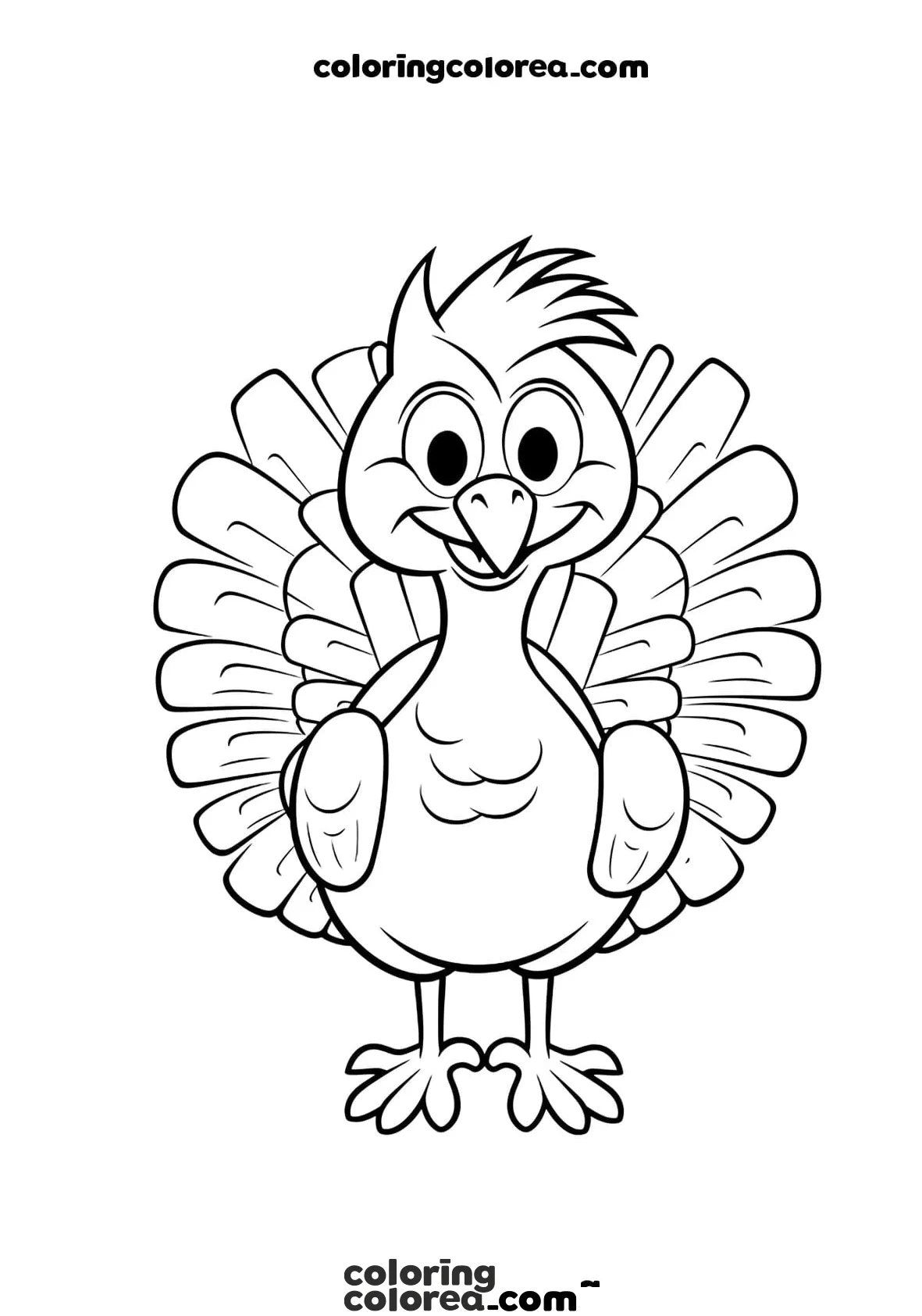 Turkey Illustration