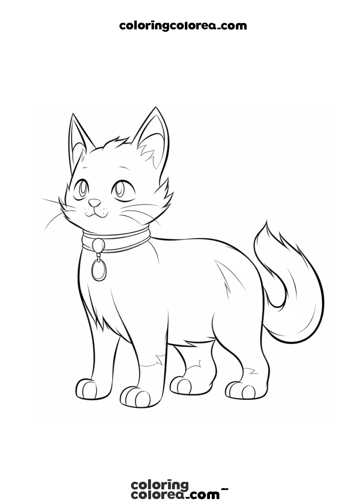Adorable kitten