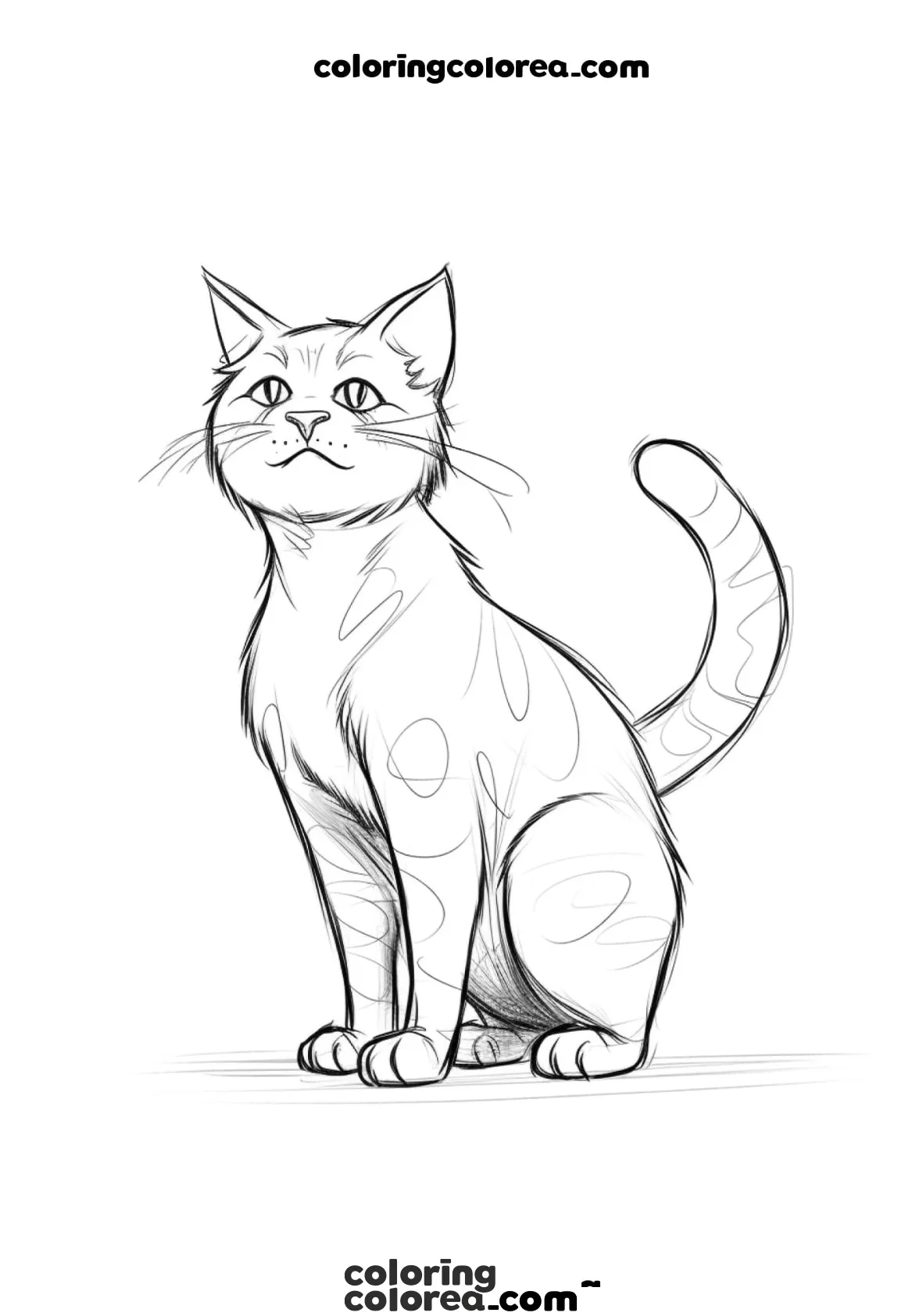 Common cat