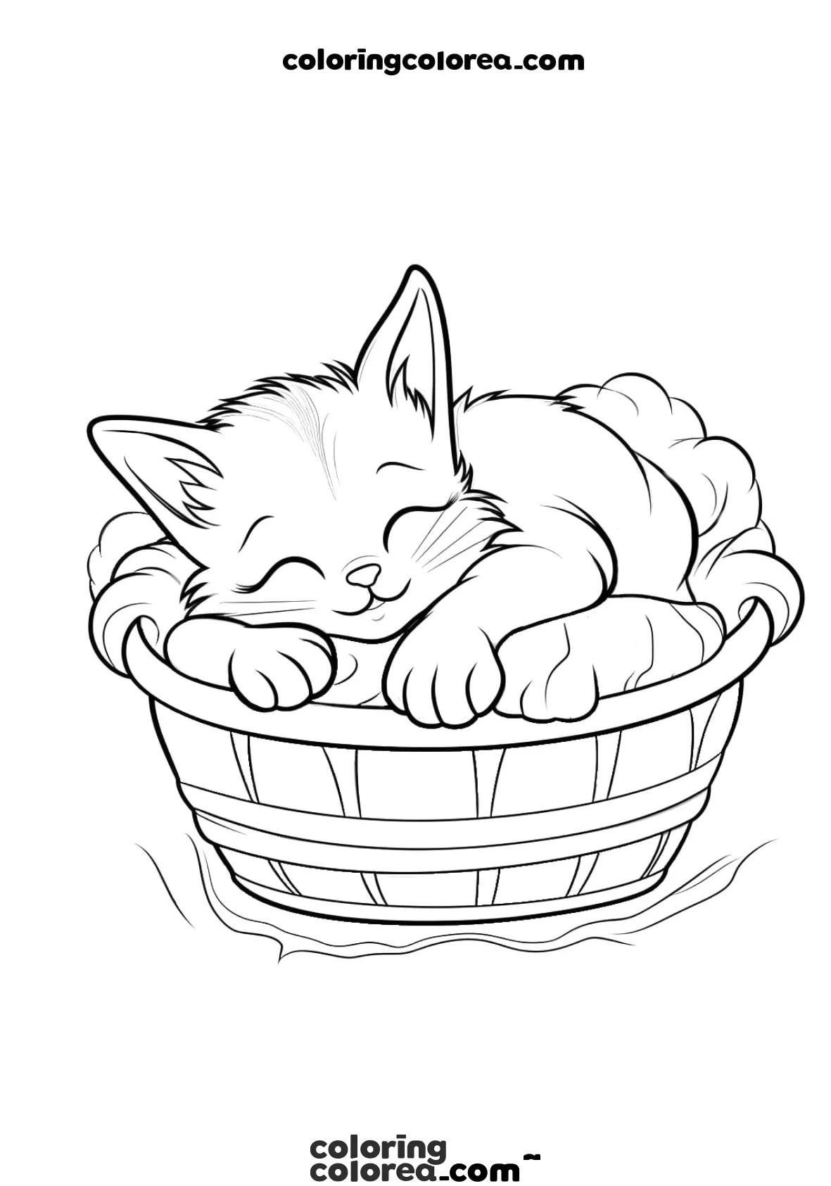 Kitten sleeping