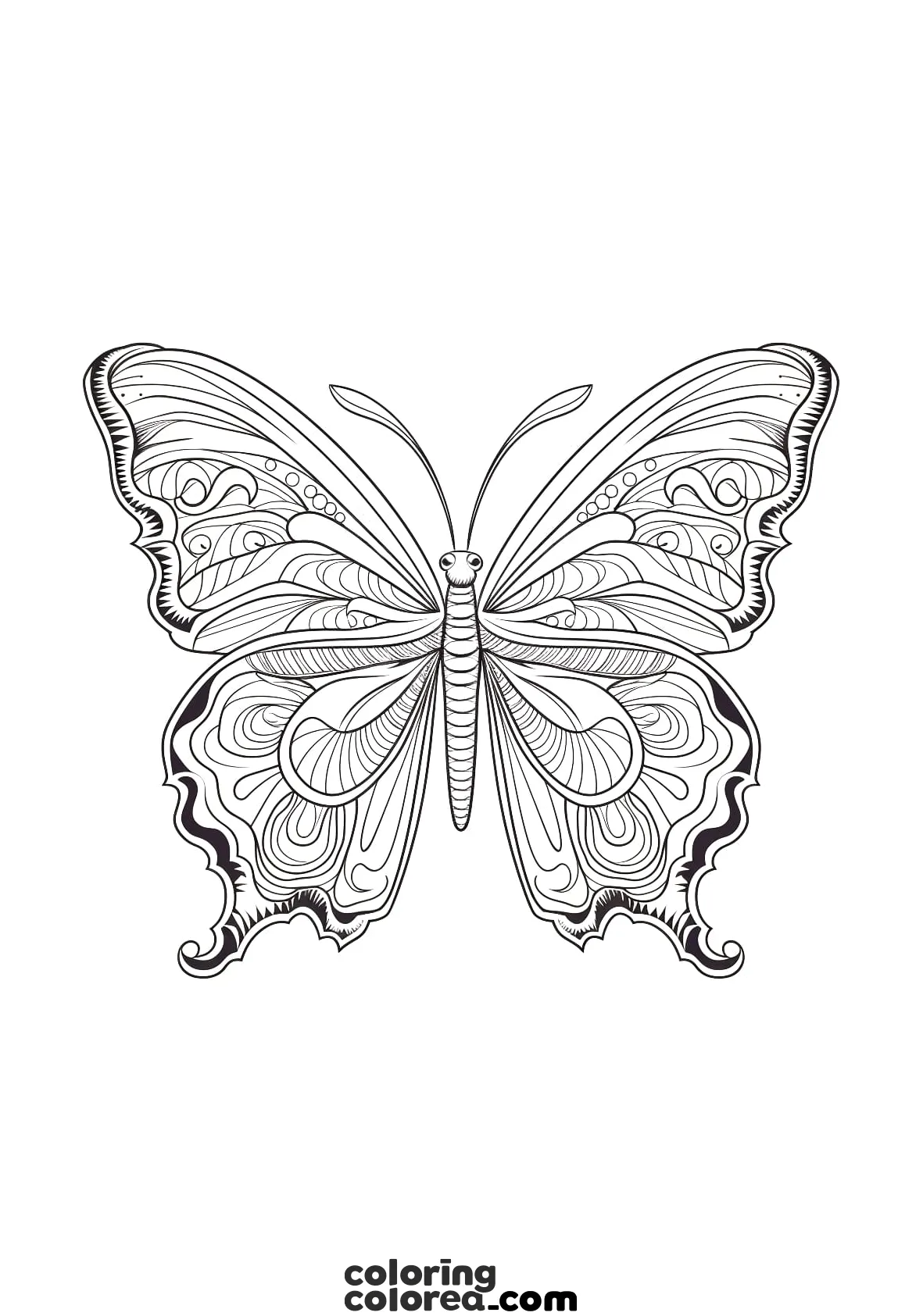 Free colouring pages of a symmetrical butterfly in animal mandala style