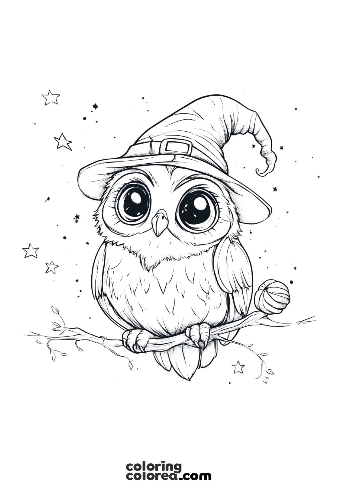 Dibujo para colorear de un búho con un sombrero de bruja