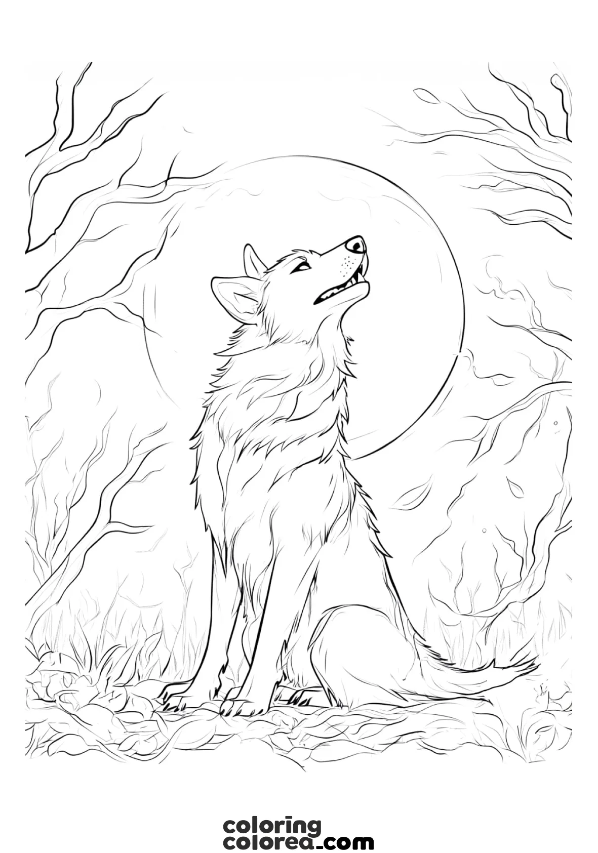 Colouring drawing of a howling wolf