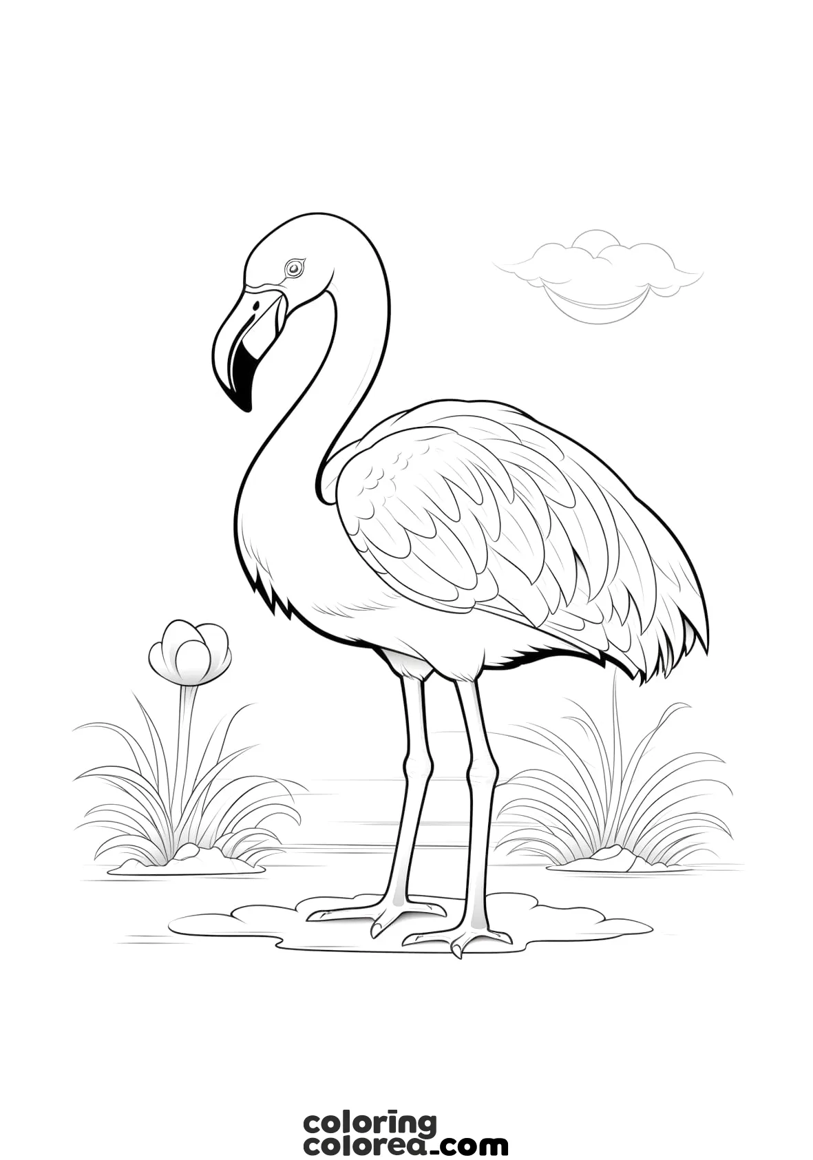 Colouring drawing of a beautiful flamingo