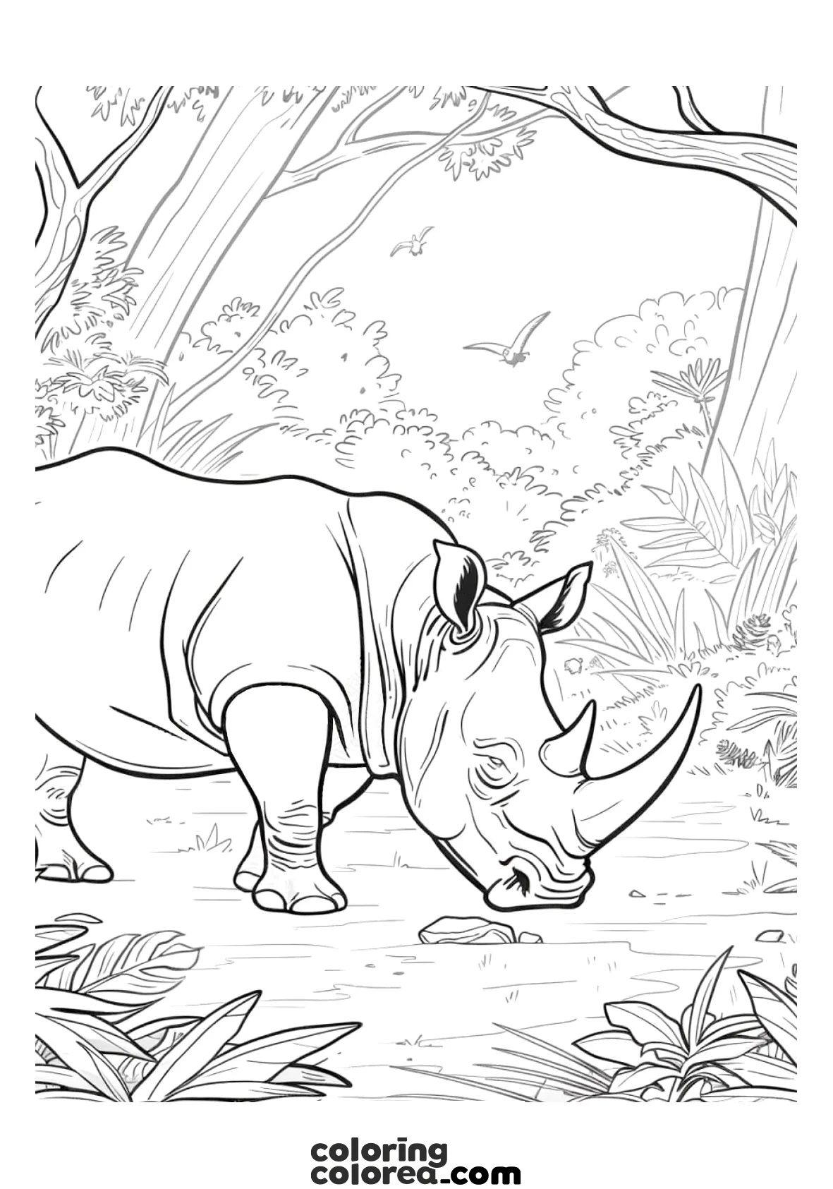 Drawing of an adult rhinoceros for colouring in