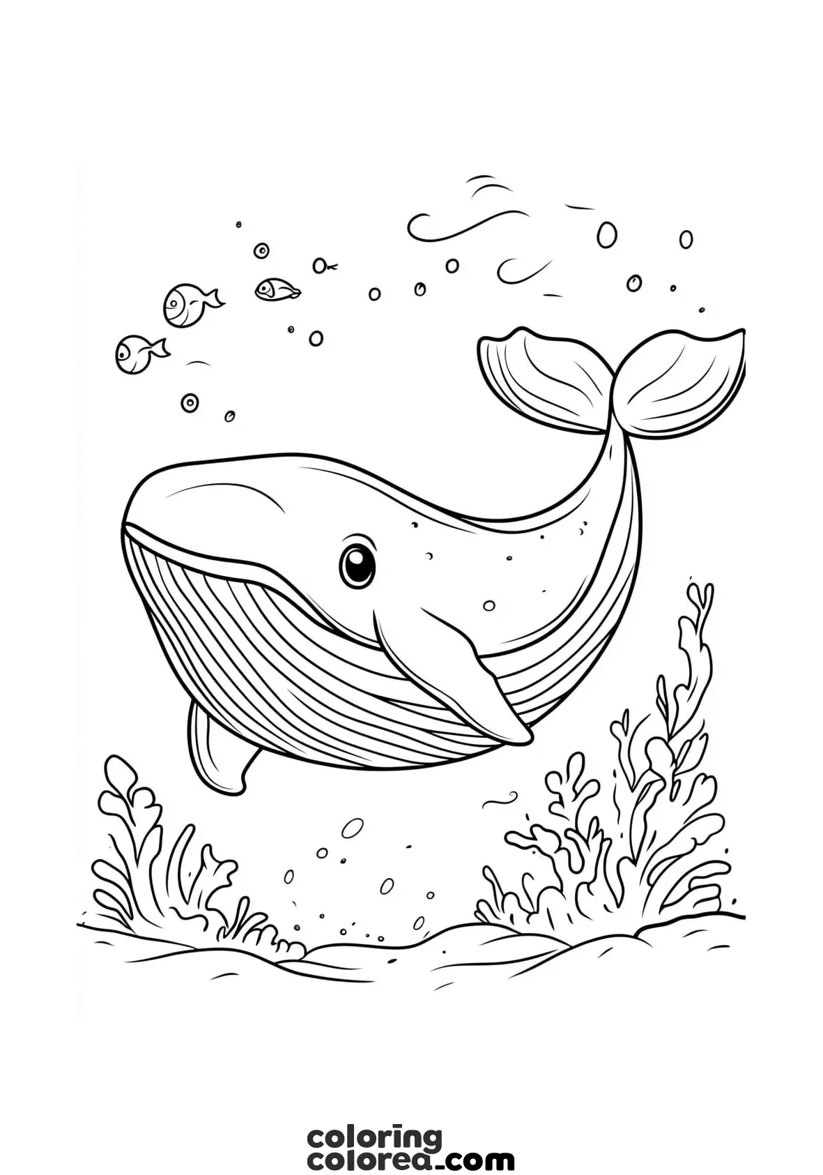 Drawing of a whale on the seabed for colouring in