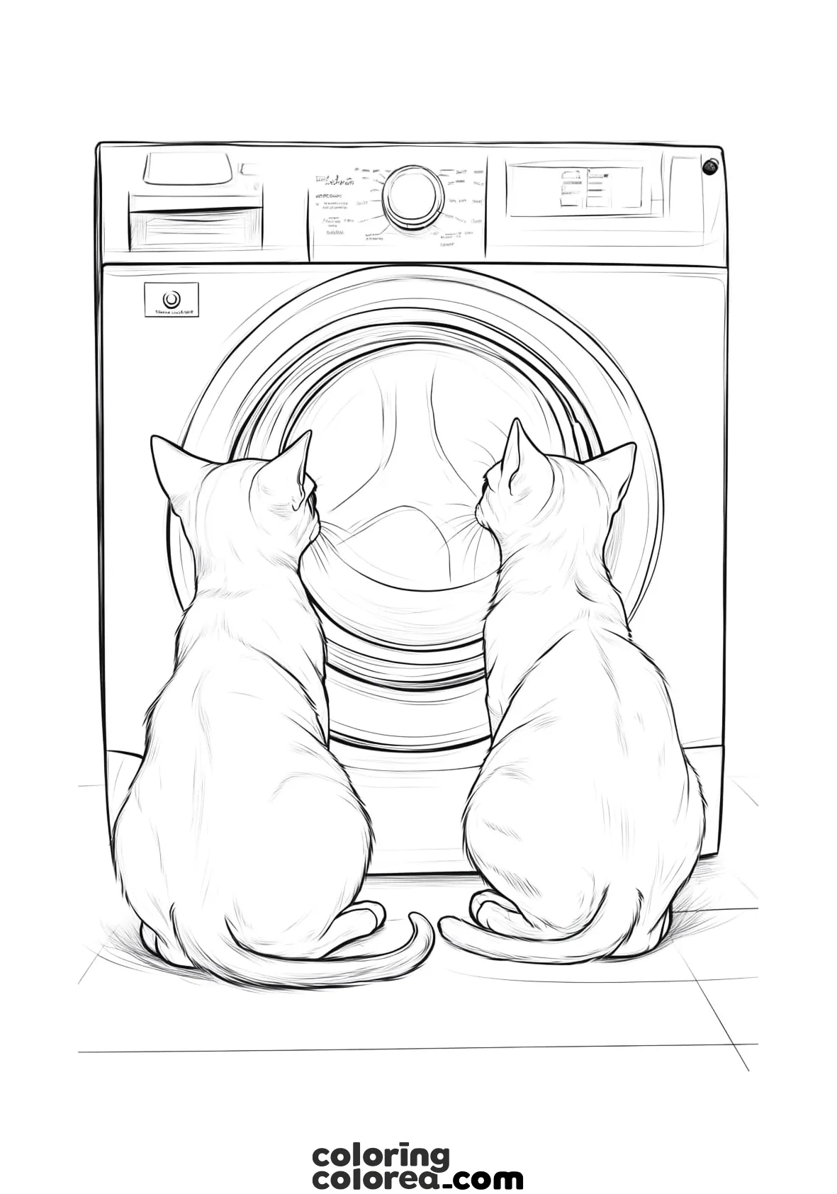 Free colouring drawing of two cats looking at a washing machine