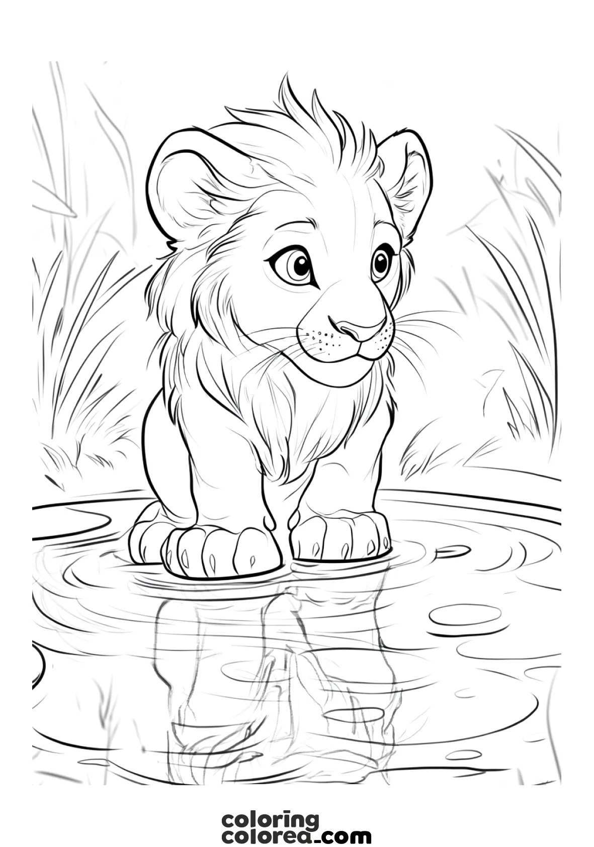 Colouring drawing of the lion king looking at his reflection in the water