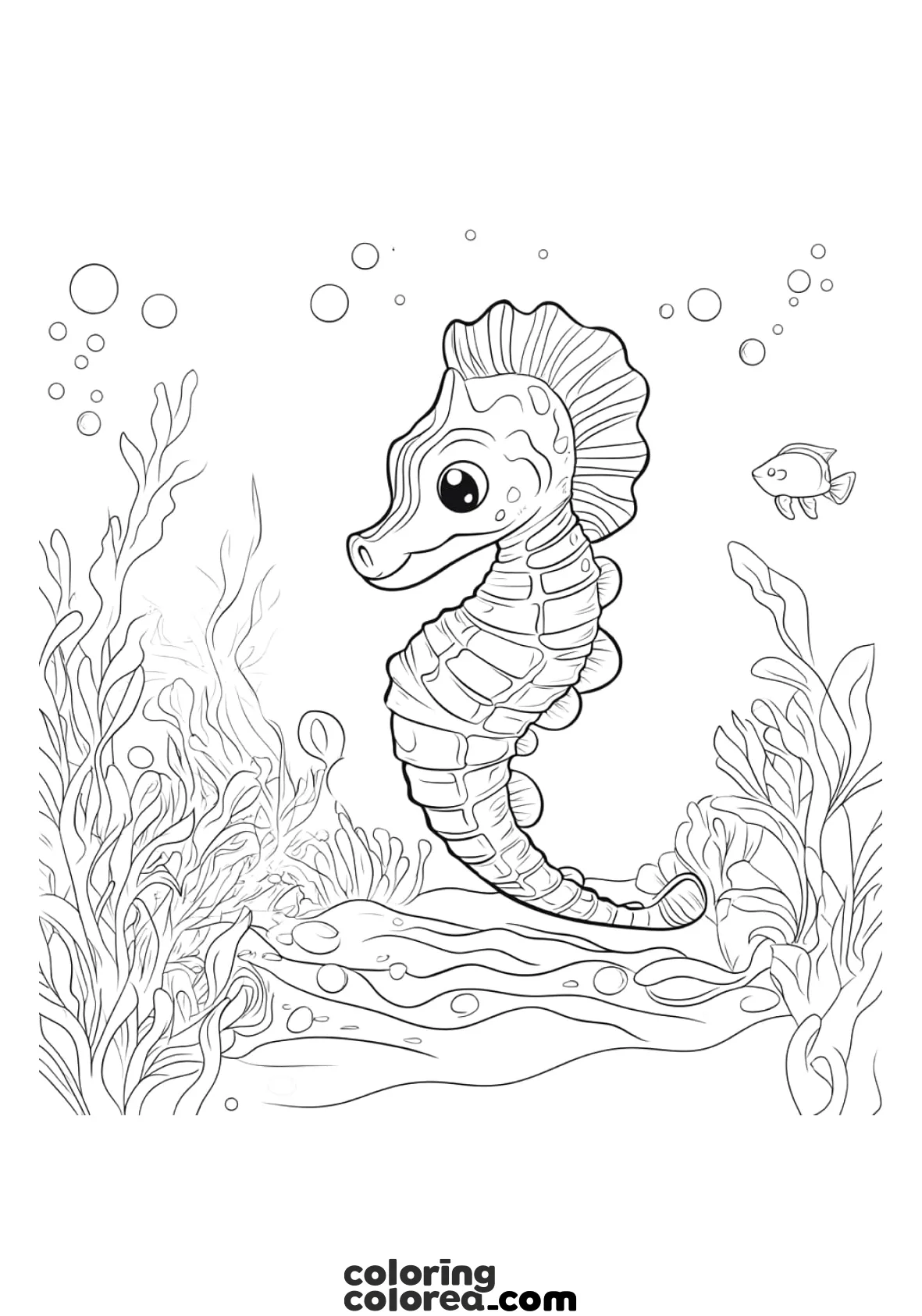 Free colouring drawing of a sea horse