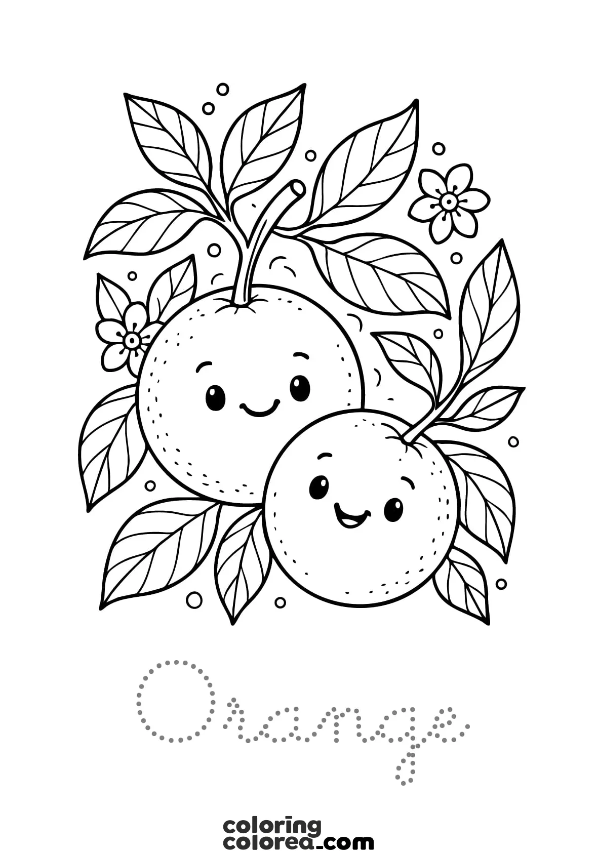 Free colouring drawing of oranges - fruit