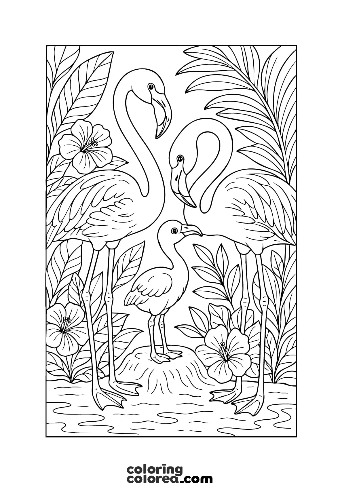Free colouring drawing of a family of flamingos