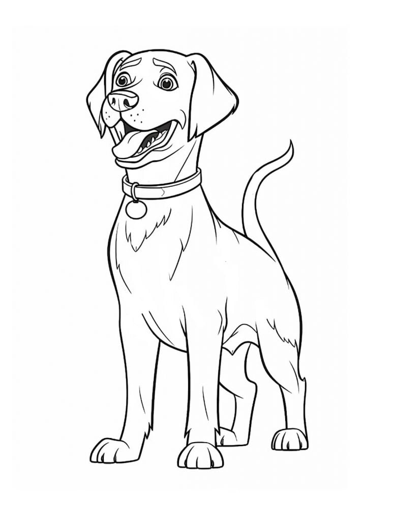 Dibujo para colorear de un perro labrador con estilo dibujos animados - patrulla canina
